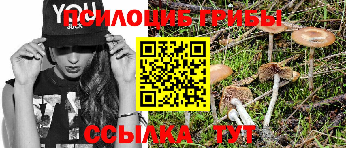 Галлюциногенные грибы Magic Shrooms Ржев