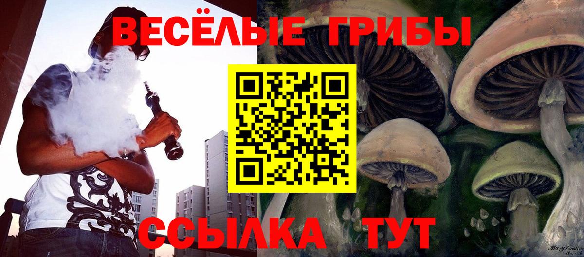 Псилоцибиновые грибы прущие грибы  Вход с VPN  Ржев 